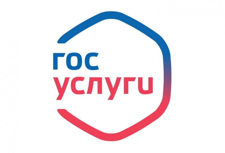 Южный Урал сохраняет высокие позиции по количеству услуг, оказанных через Единый портал